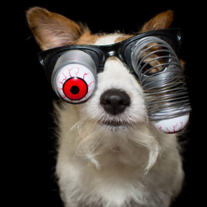 Bloodshot Eyes: Cracking the Code of Retinal Vascular Disorders