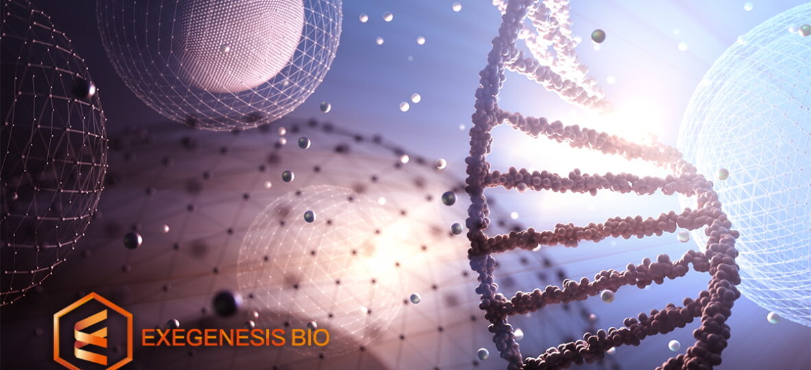 Exegenesis Bio Provides Updates on Wet AMD Gene Therapies