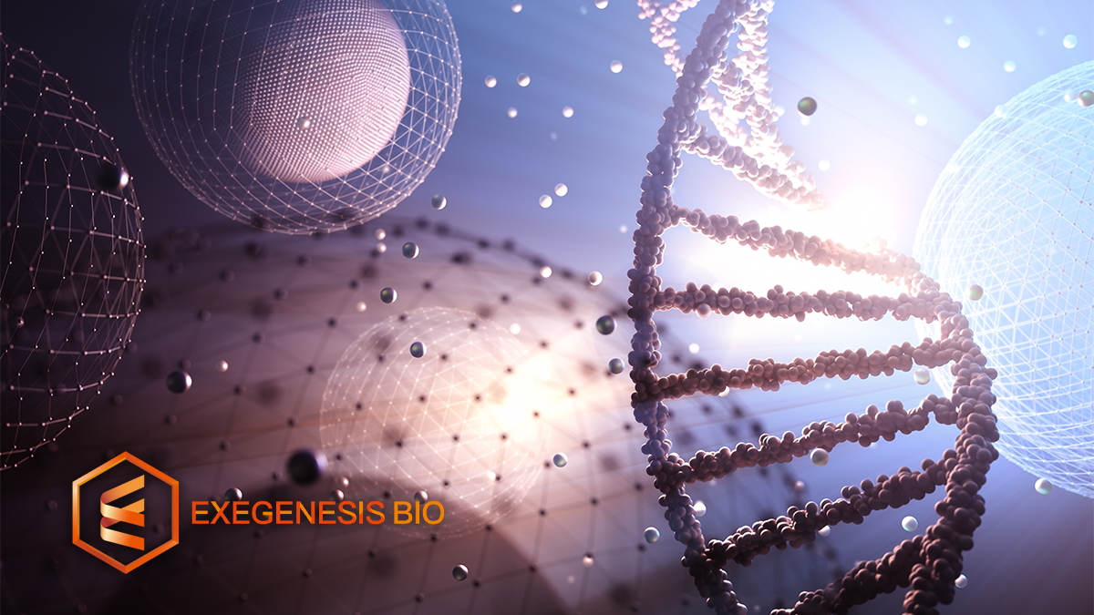 Exegenesis Bio Provides Updates on Wet AMD Gene Therapies