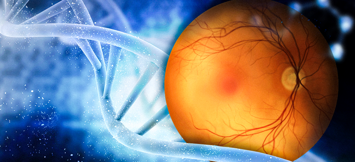 Thumbnail article _ 1200x675_One Day, Three IRD Gene Therapy Triumphs