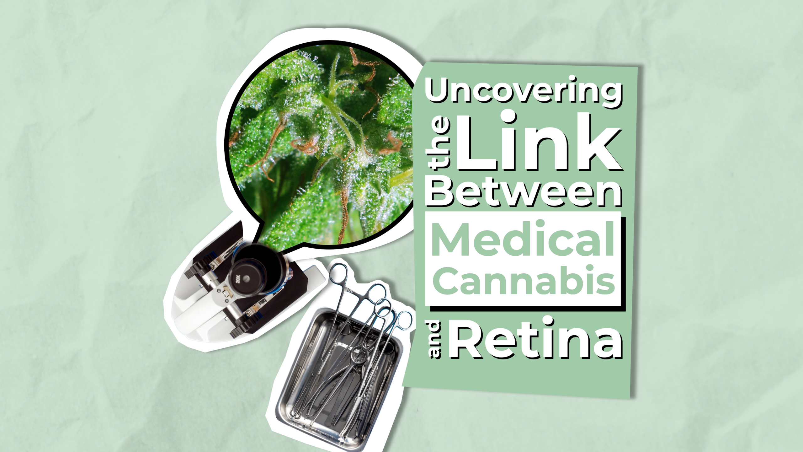 CannabisNPDR thumbnail