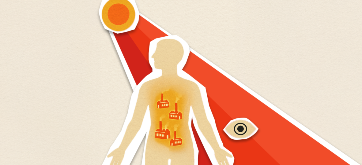 Sunlight systemic effects on vision thumbnail
