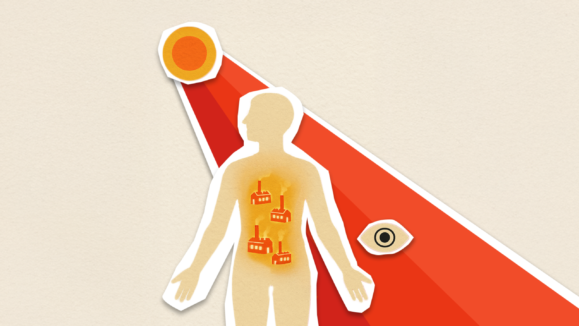 Sunlight systemic effects on vision thumbnail