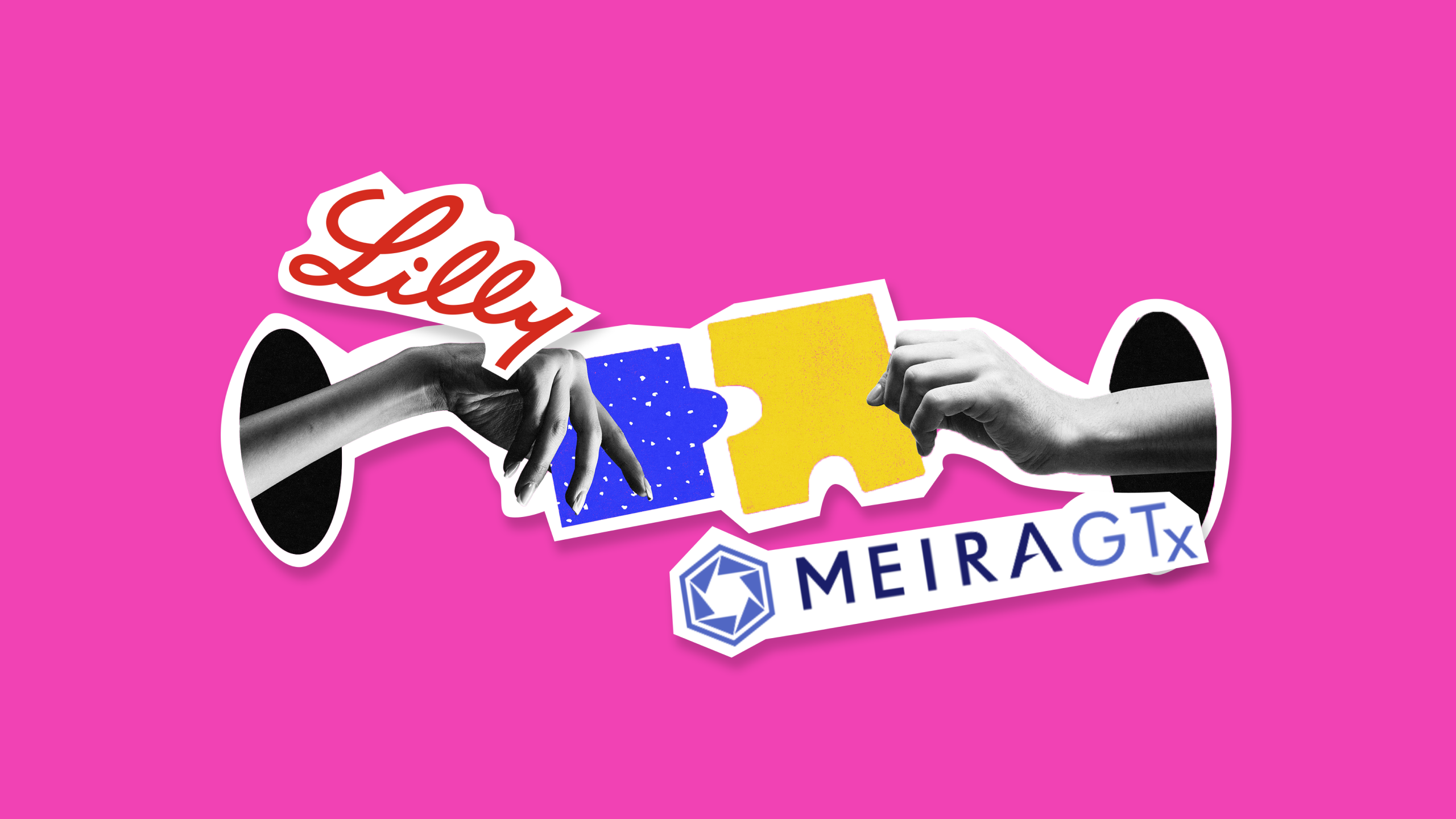 Illustration of two hands holding two puzzle pieces with the first hands holding a blue one and on the top of the hand is the logo of Eli Lilly, the other hand is holding a yellow puzzle and under it is the MeiraGTx logo with a pink background